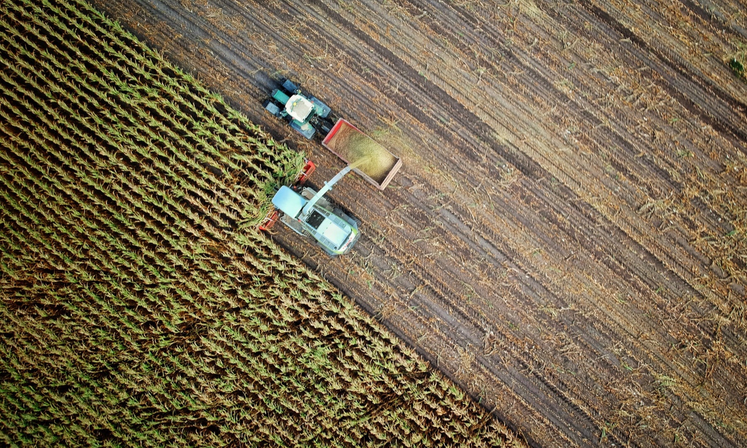 SILT Named in Food Tank's Top 20 Sustainable Iowa Land Trust SILT