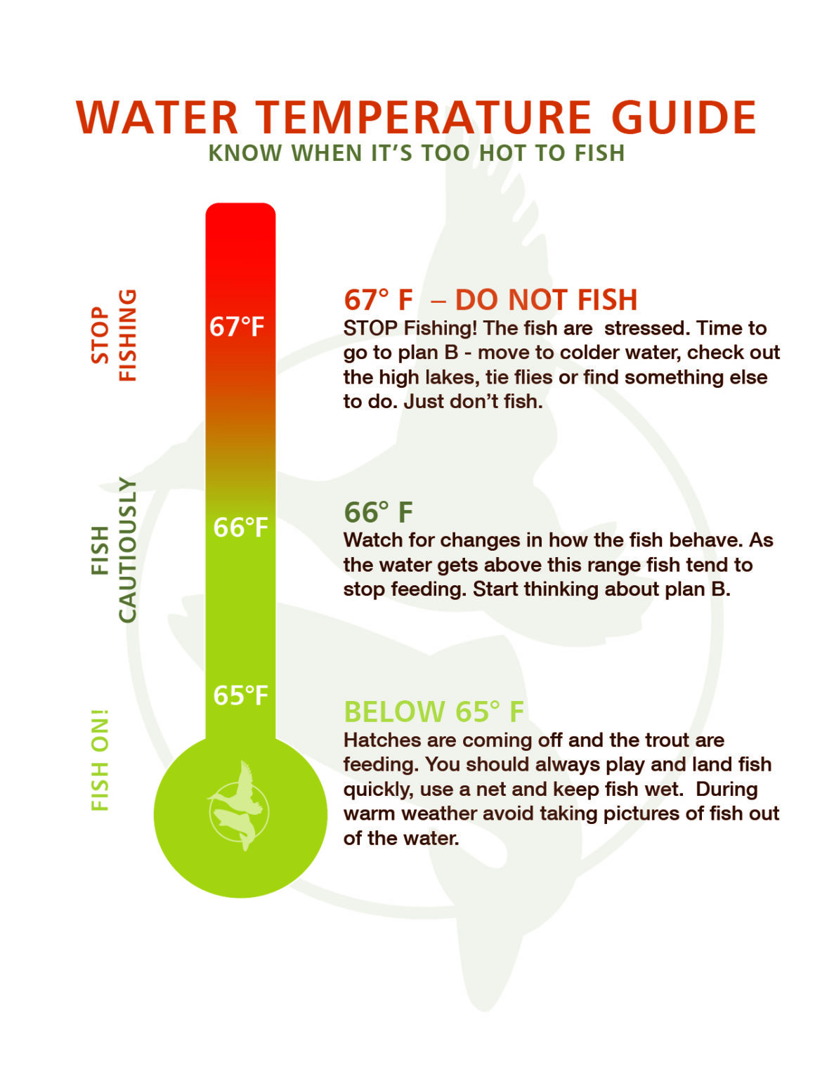 Fly Fishing Forecast July 7 14 Silver Creek Outfitters