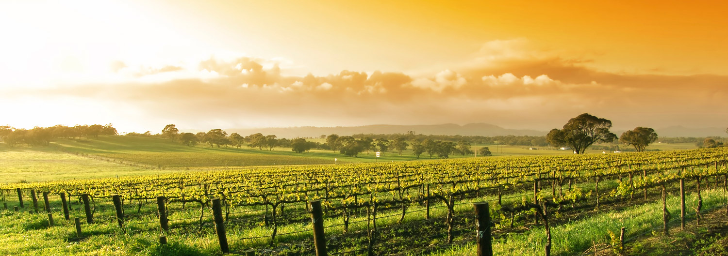 Sonoma Homes & Land For Sale Magliocco Group Napa Real Estate