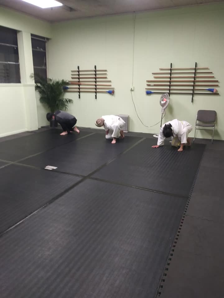 Japanese Martial Arts Academy (734) 4473000