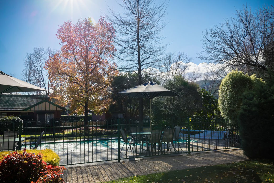 SILVER BIRCHES THE BIRCH HOUSE MELBOURNE
