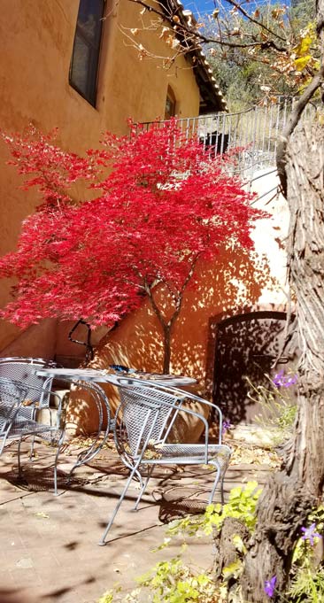 Garden Patio