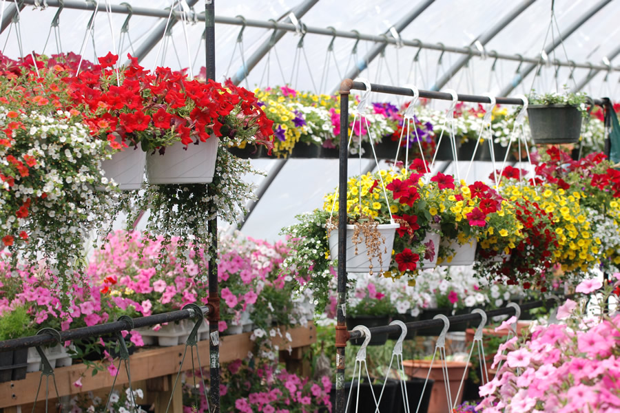 Country Gardens Greenhouse