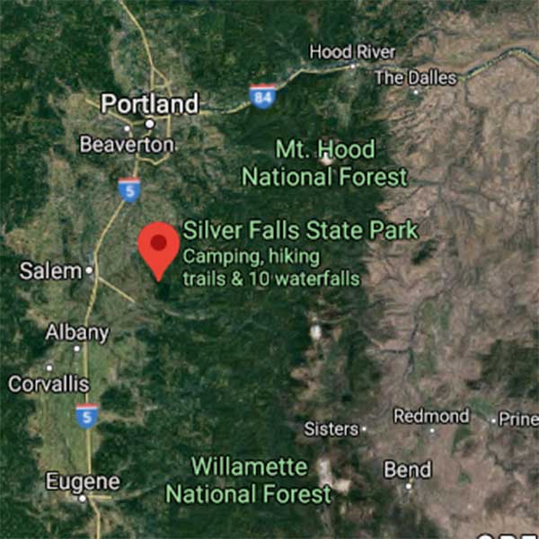 Silver Falls Trail Runs November 13, 2024 Silver Falls Trail Runs