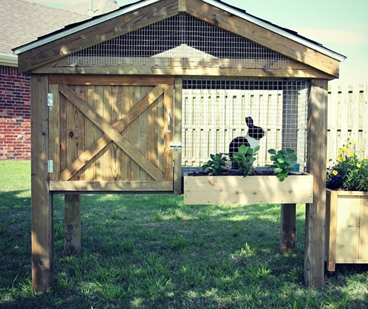 Free Quail Coop Building Plans Silver Homestead