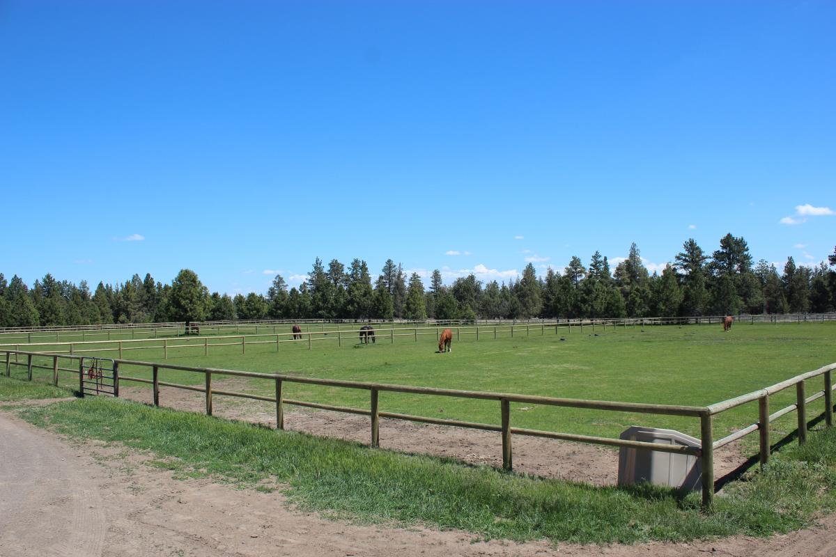Gallery Silver Horse Ranch