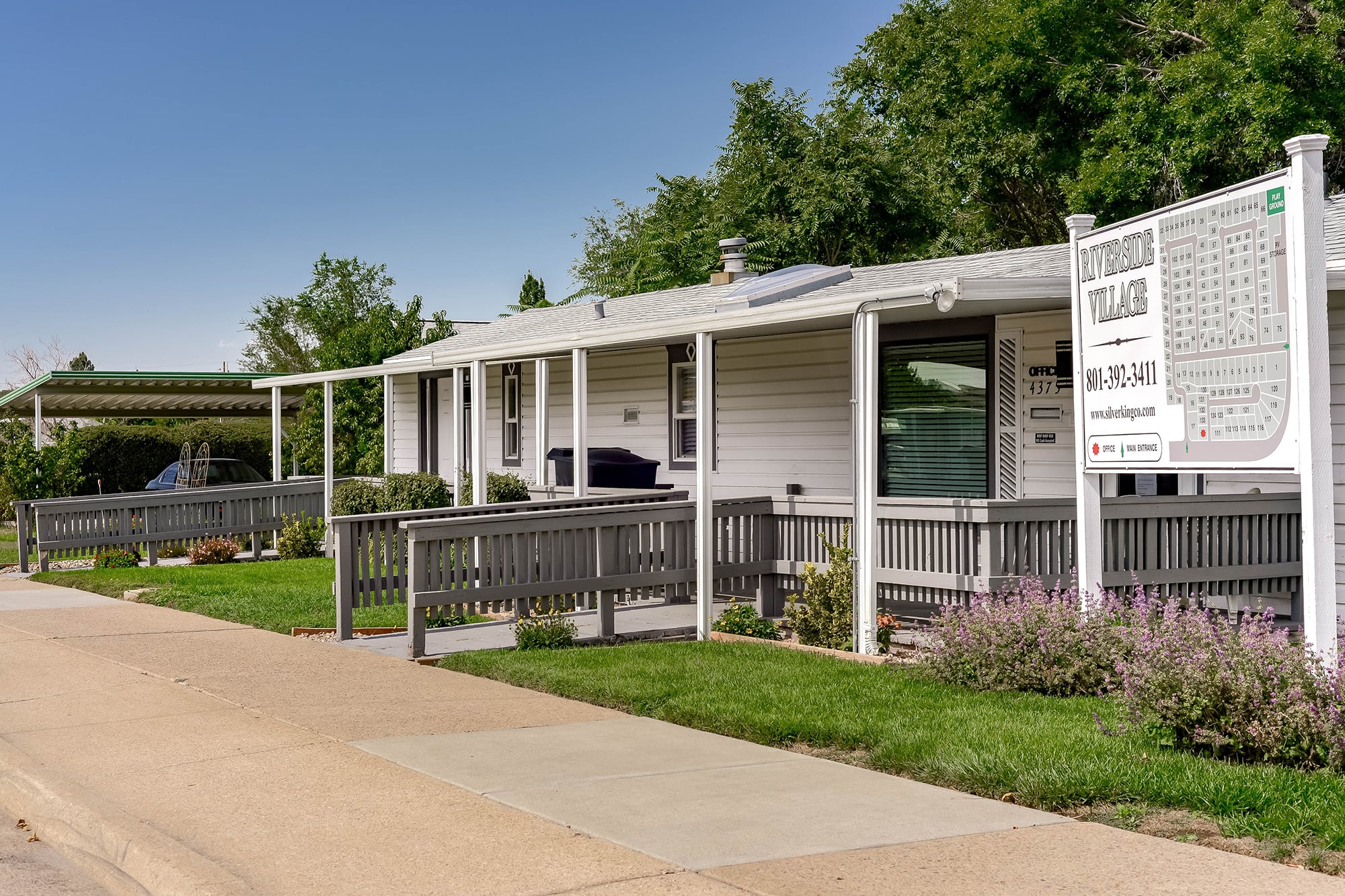 Riverside Village Silver King