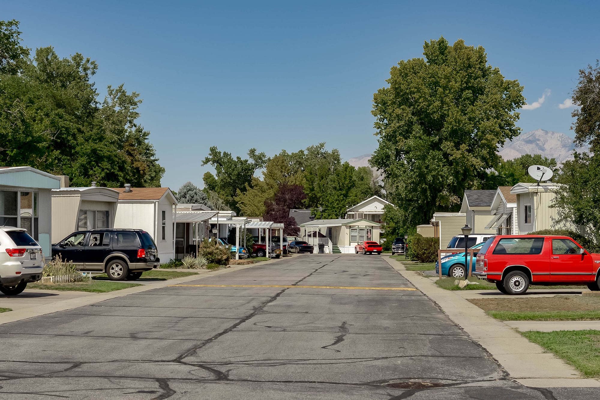 Riverside Village Silver King