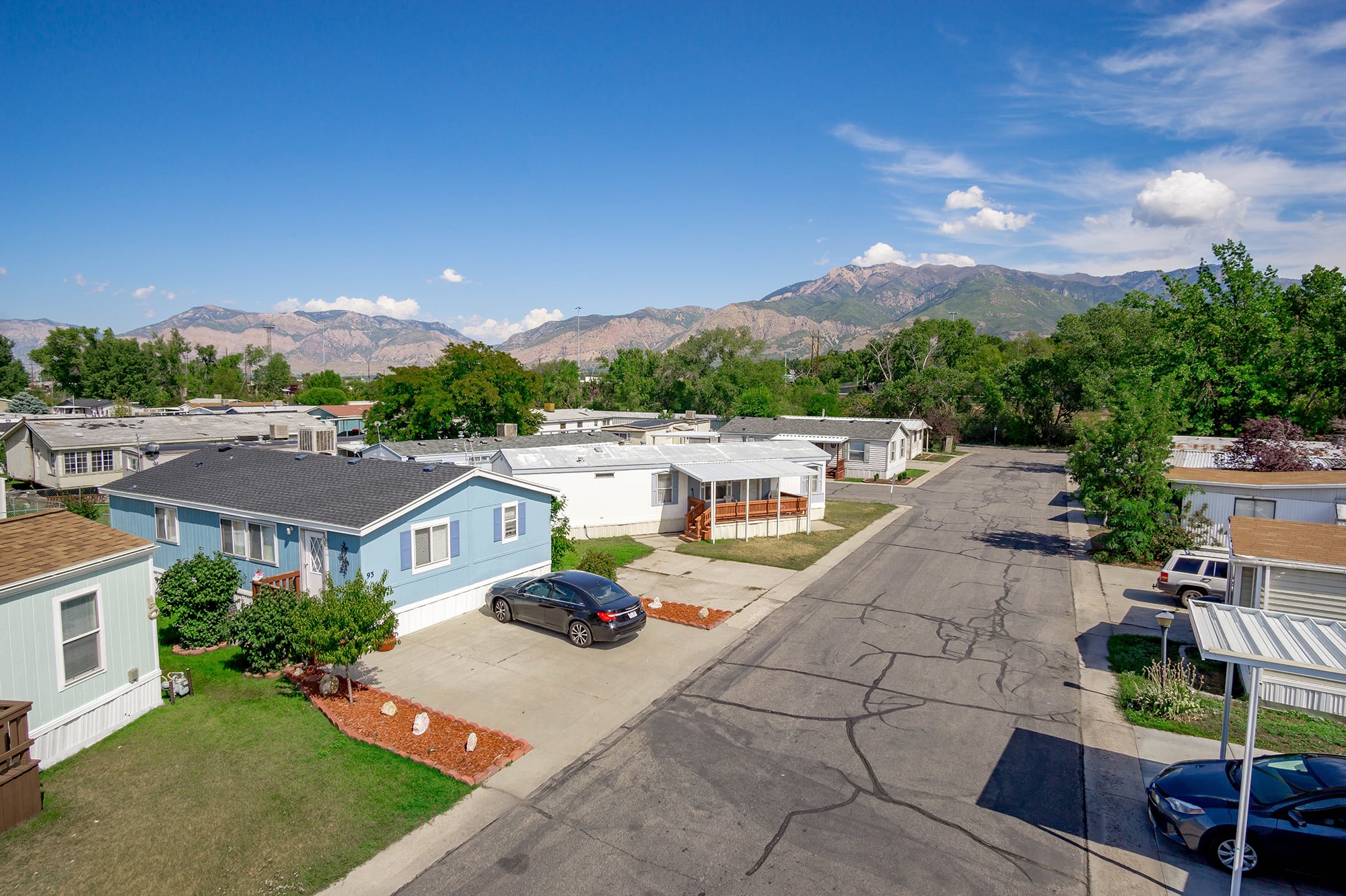 Riverside Village Silver King