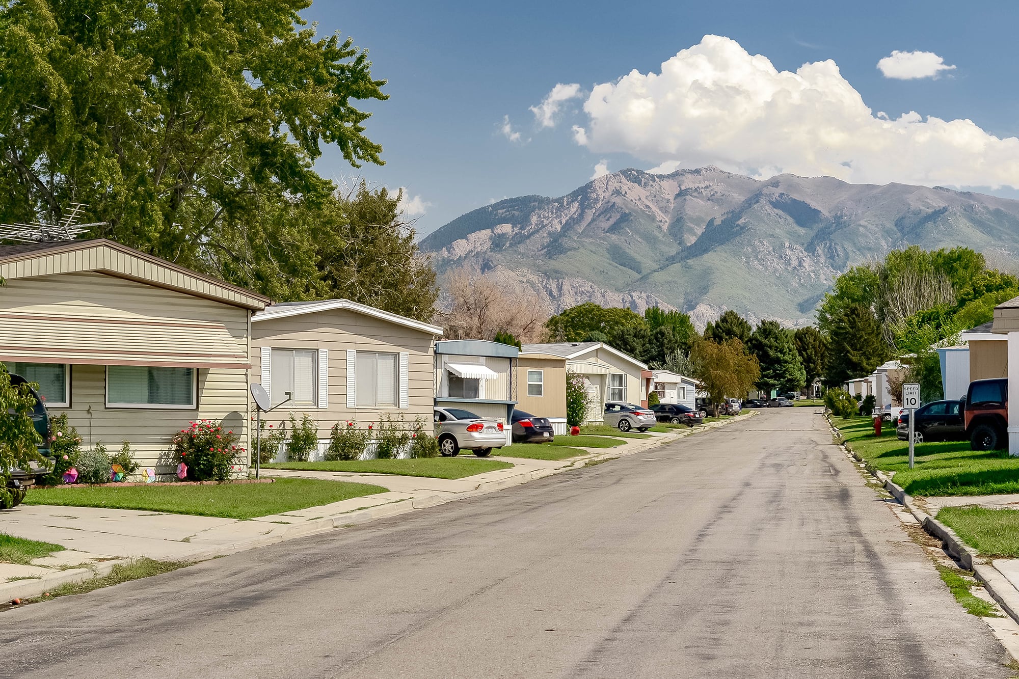 Midland Community Silver King