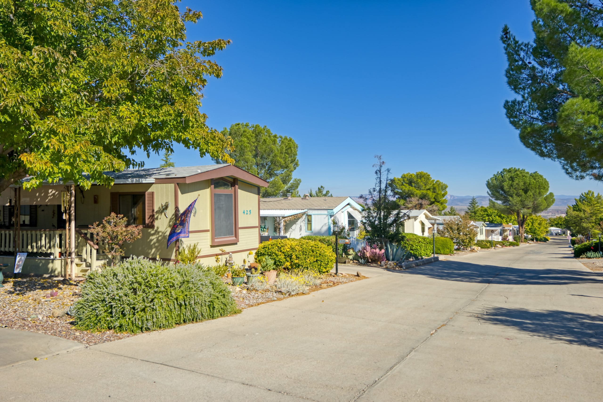 Lampliter Village Silver King