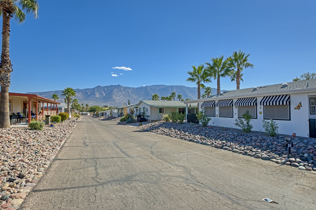 Quail Ridge Estates Silver King