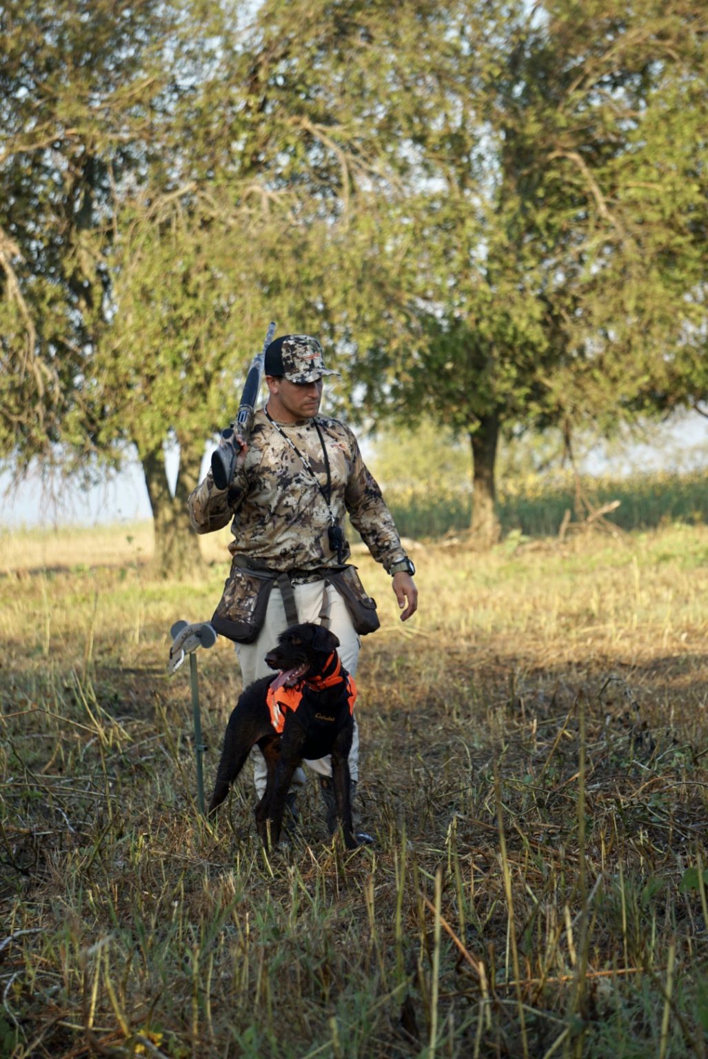 Training Rockin' B Labradors