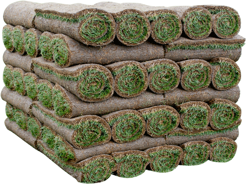 Silver Lake Sod Farm Elite Sod Growers Serving Southern Alberta & Saskatchewan