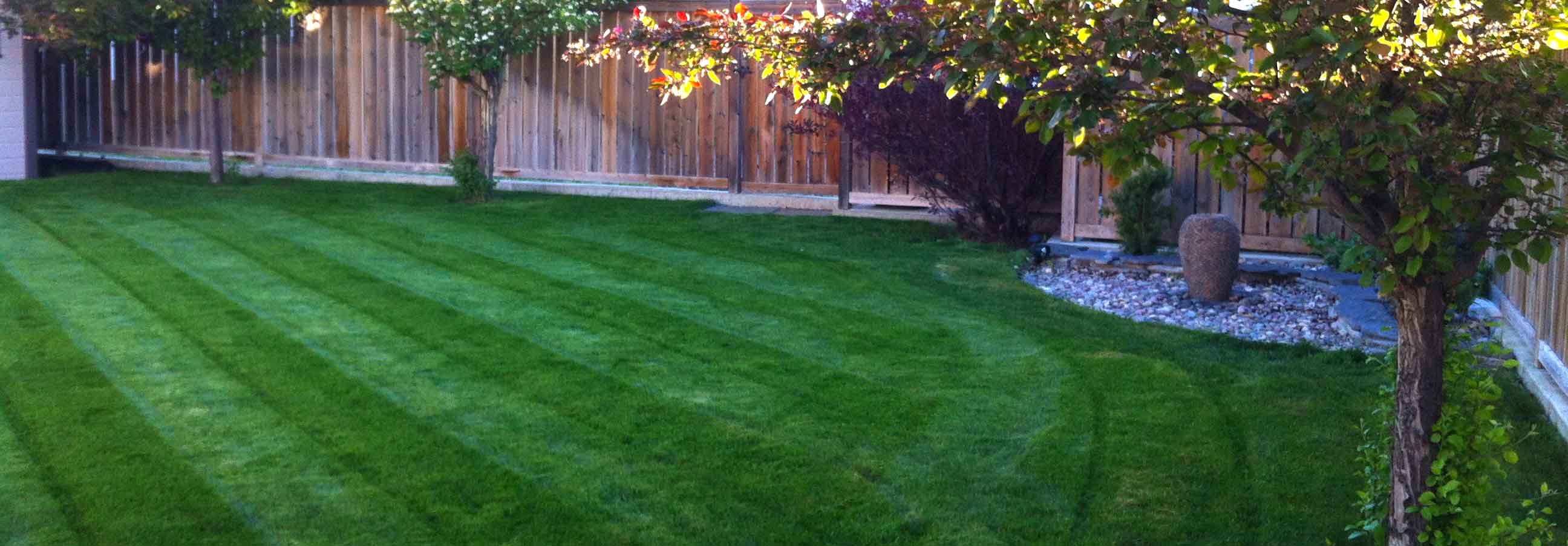 VARIETY Silver Lake Sod Farm