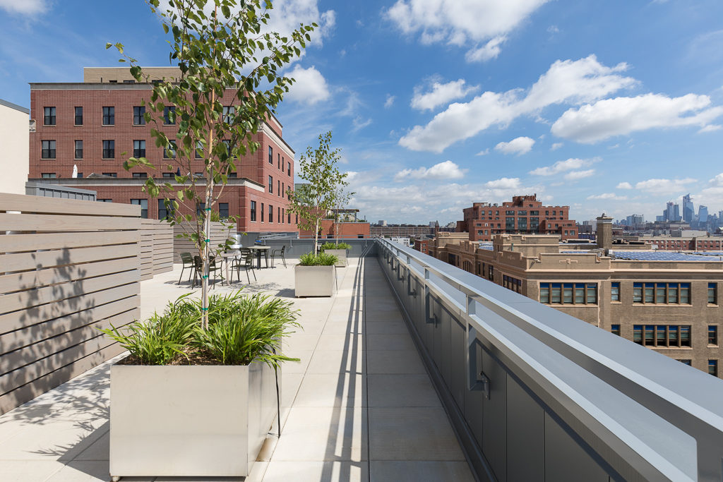 Park Francis; Living on the Park in Jersey City, NJ