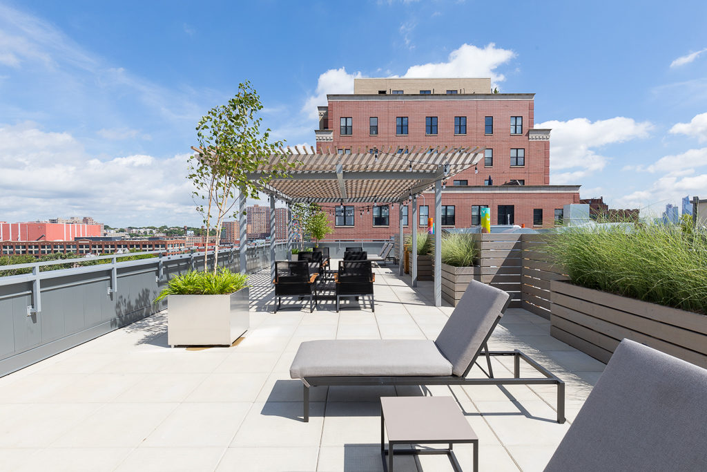 Park Francis; Living on the Park in Jersey City, NJ