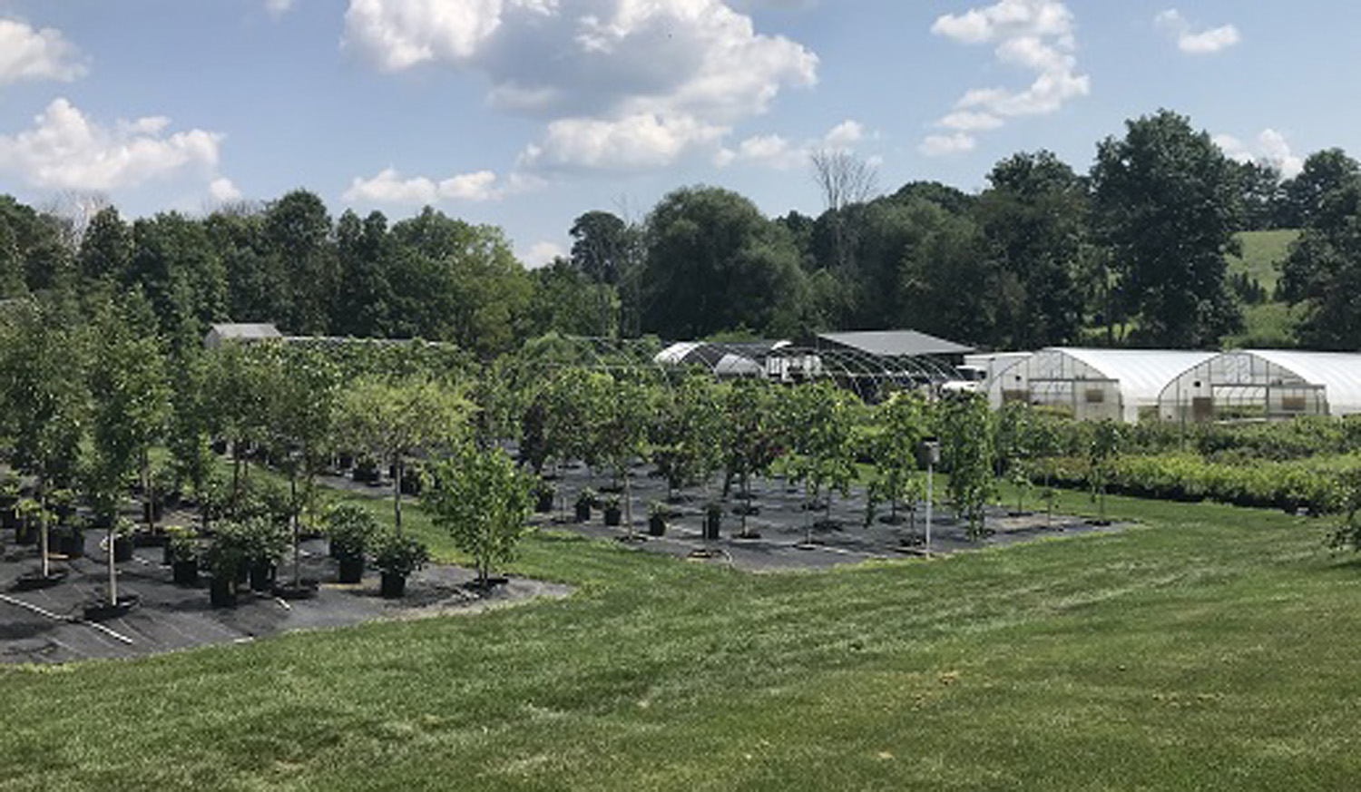 Silver Maple Nursery Wholesale & Retail Plants Orwigsburg PA