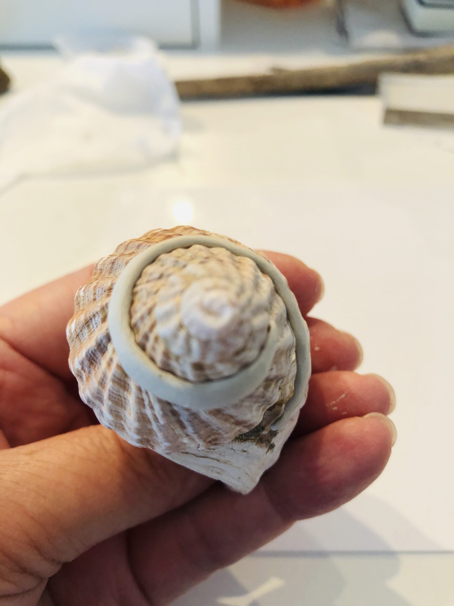 How to make silver metal clay jewellery Silver Nutshell Jewellery