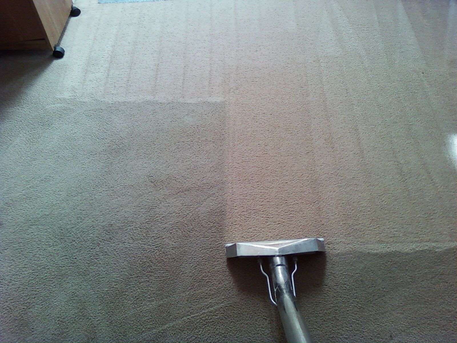 Carpet Cleaning in Carlsbad Why You Need It • Silver Olas