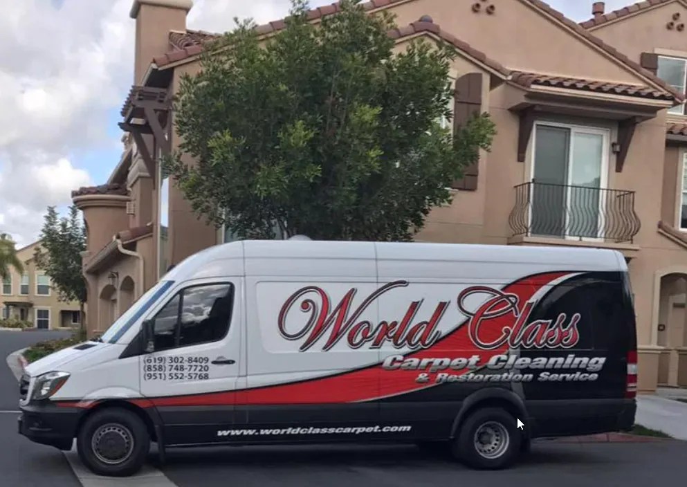 Top 10 Carpet Cleaning Companies in San Diego 2023 • Silver Olas