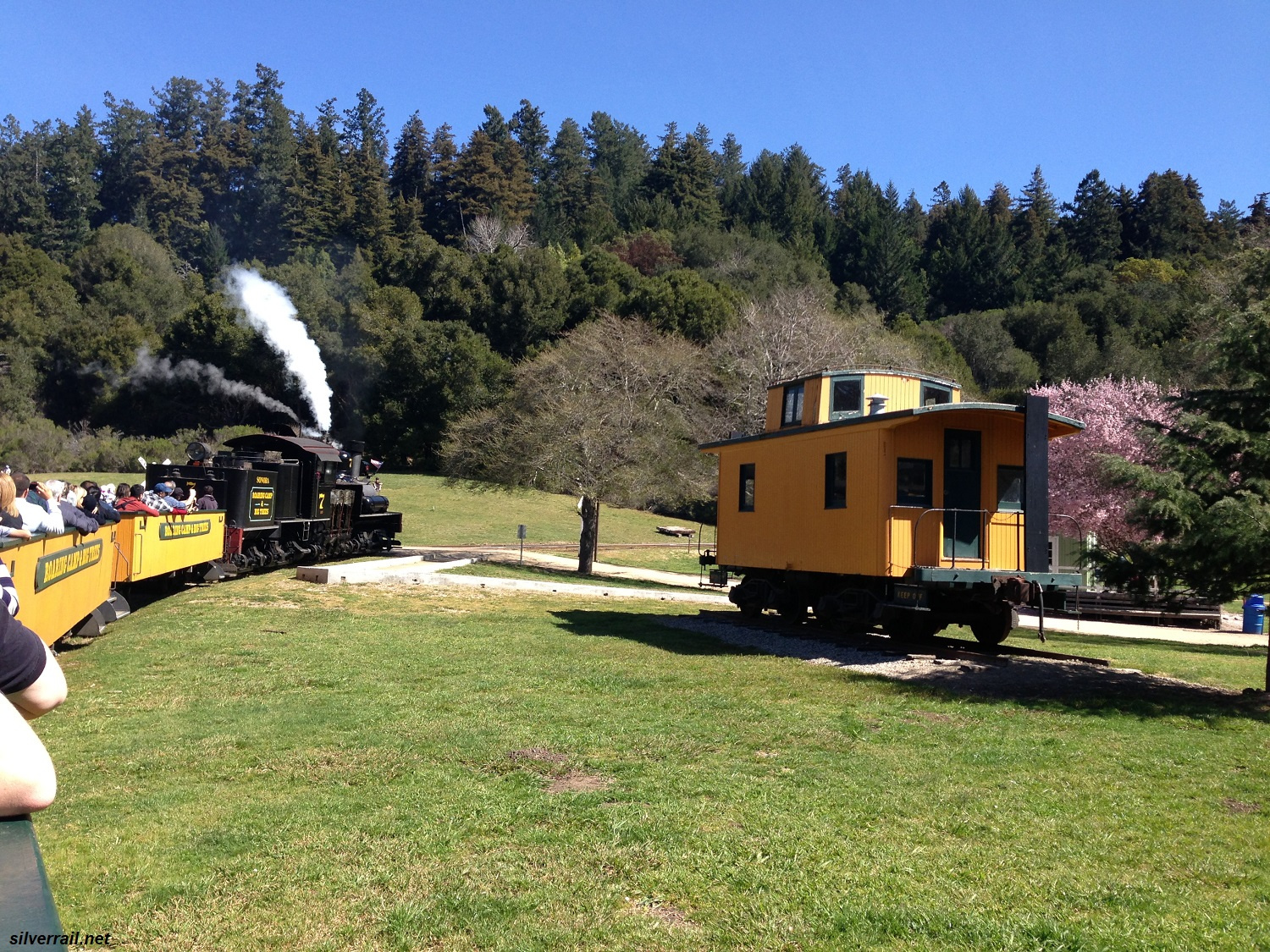 Train Excursion Roaring Camp (Felton, CA) Silver Rail