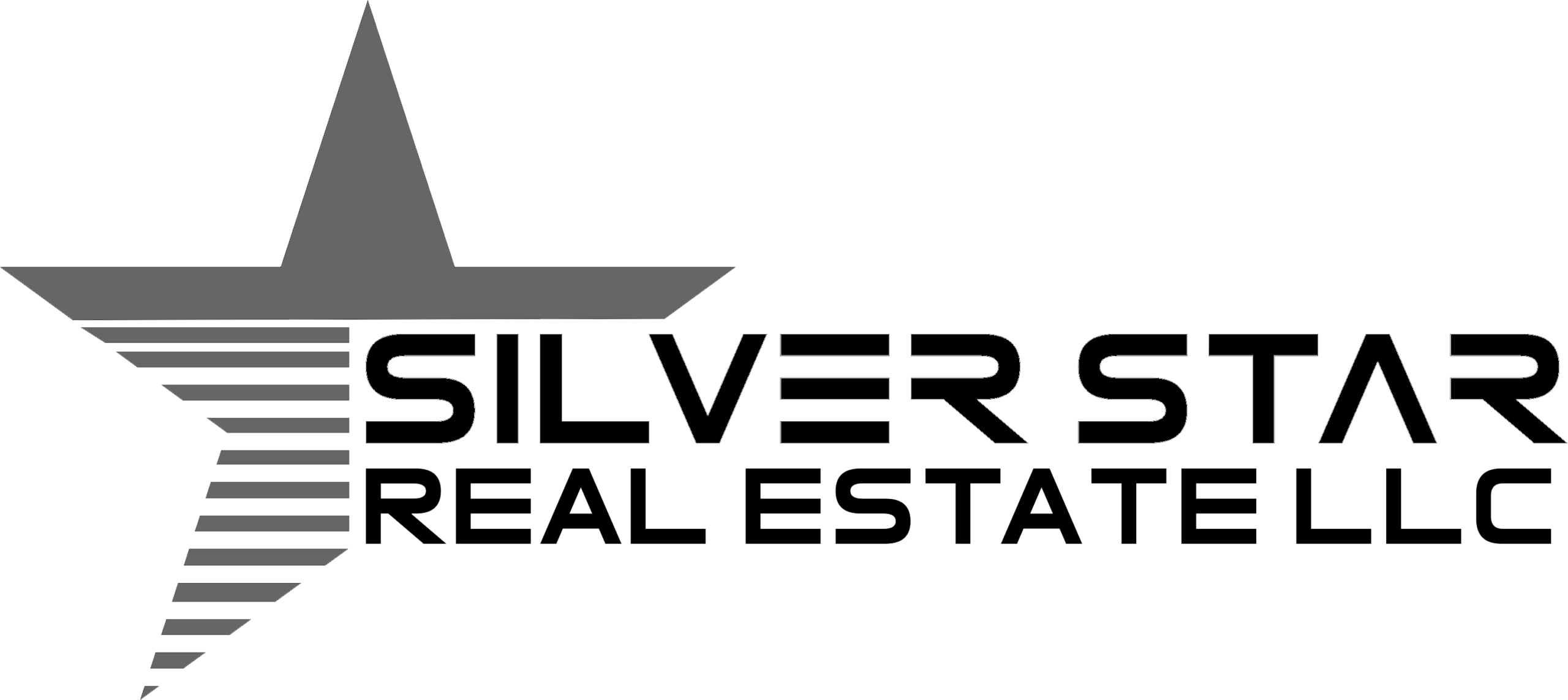 Founder Silver Star Real Estate LLC