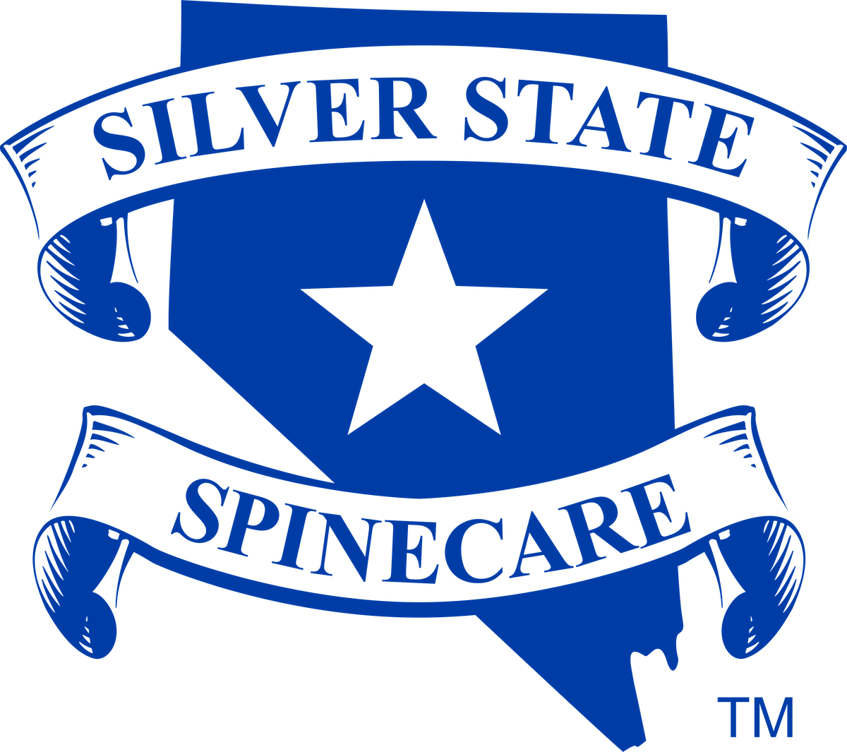 Silver State Spinecare Auto Accident Injury Doctor Reno & Sparks, NV