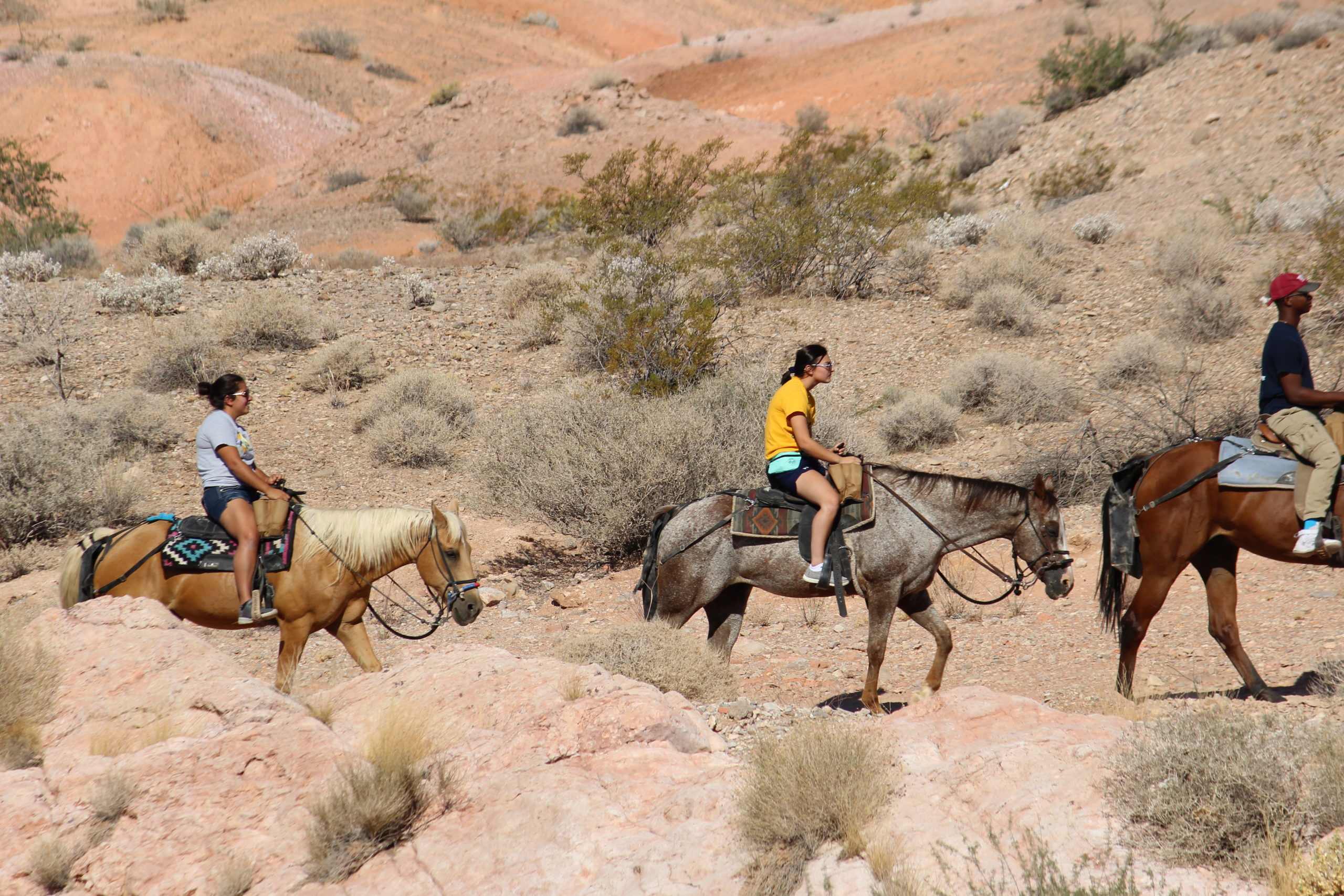 Masonry Silver State Horseback Riding Tours