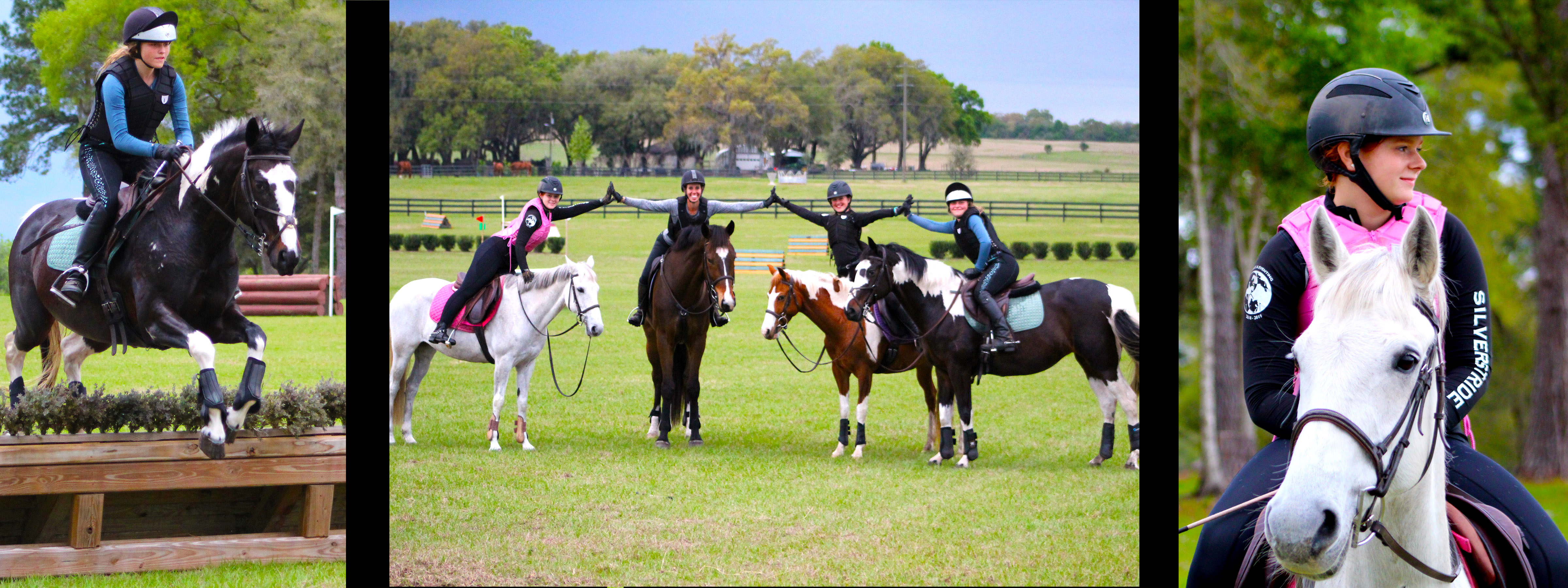 Riding Lessons in Ocala, Gainesville SilverStride Equestrian Center SilverStride Equestrian