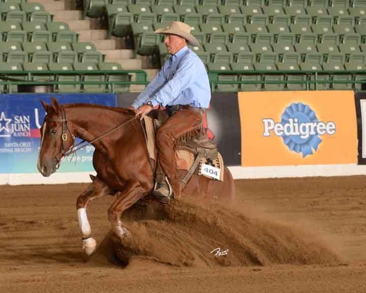 Silver Wings Ranch Performance Horses Team Penning with Roger Braa in
