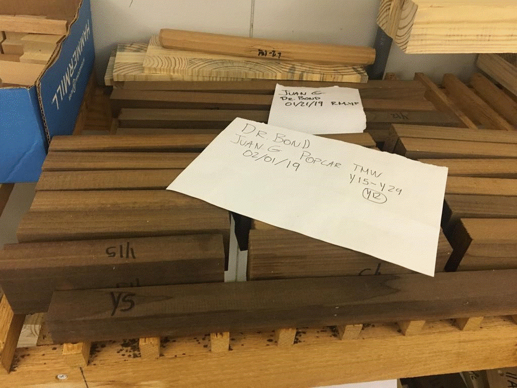 RESEARCH BRIEF Thermally modified wood Sustainable Innovation Management