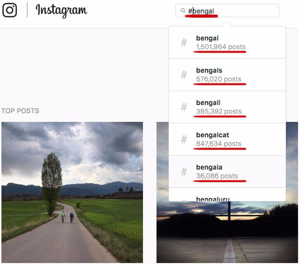 How to Choose Instagram Cat Hashtags [Full Guide with 347 Examples]