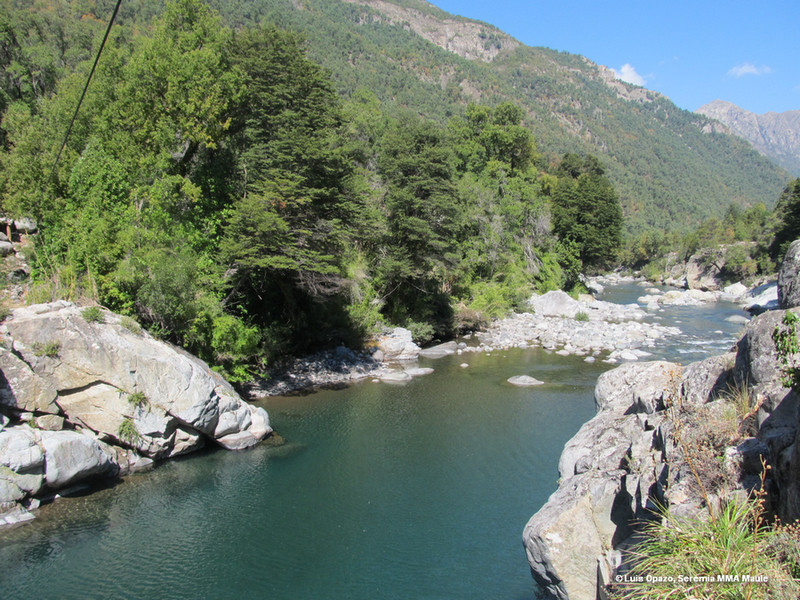 Santuario de la Naturaleza "Cajón del río Achibueno" SIMBIO