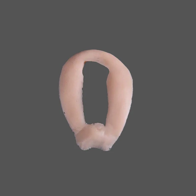 Humeral Head Intraosseous Part Task Trainer Inner Shoulder Plug Right Medium SIMETRI