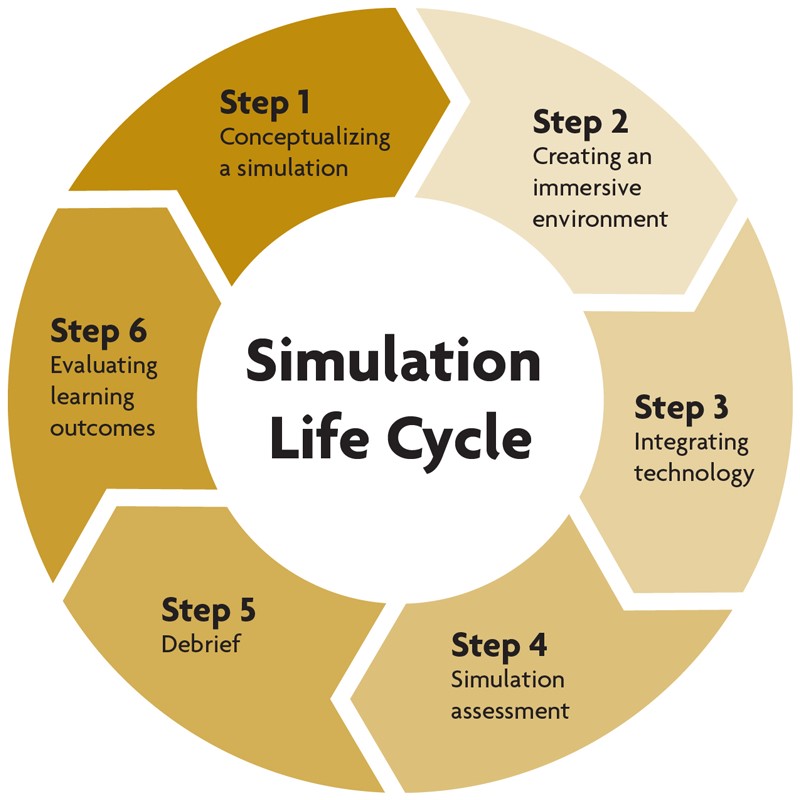 Vision & Mission SimHubs & Simulation Based Education