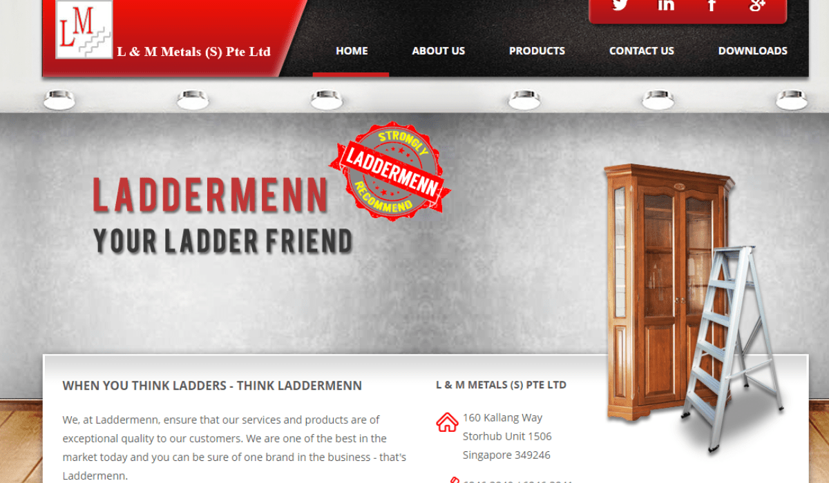 Top 9 HighQuality Ladder Shops in Singapore