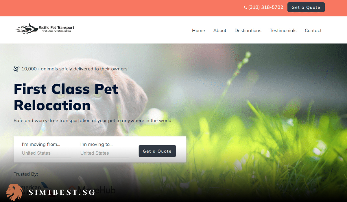 7 Best Pet Relocation Services Options in Singapore 2024