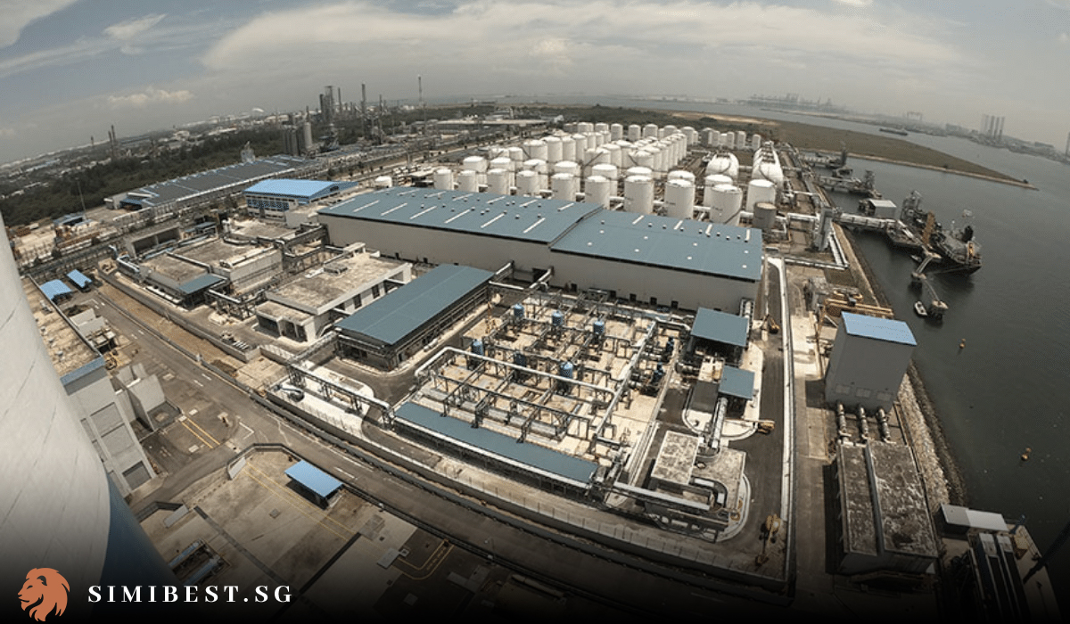 6 Best Companies for Electricity Plan Singapore 2024