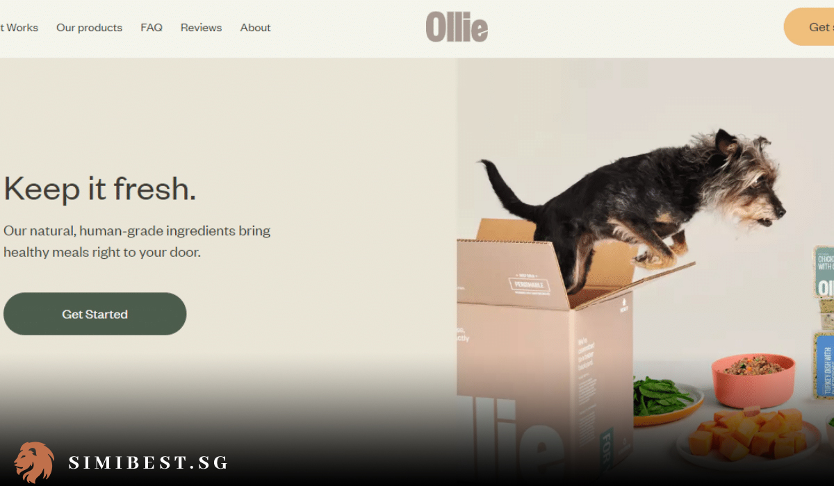 Top 10 Online Pet Food Delivery In Singapore 2024