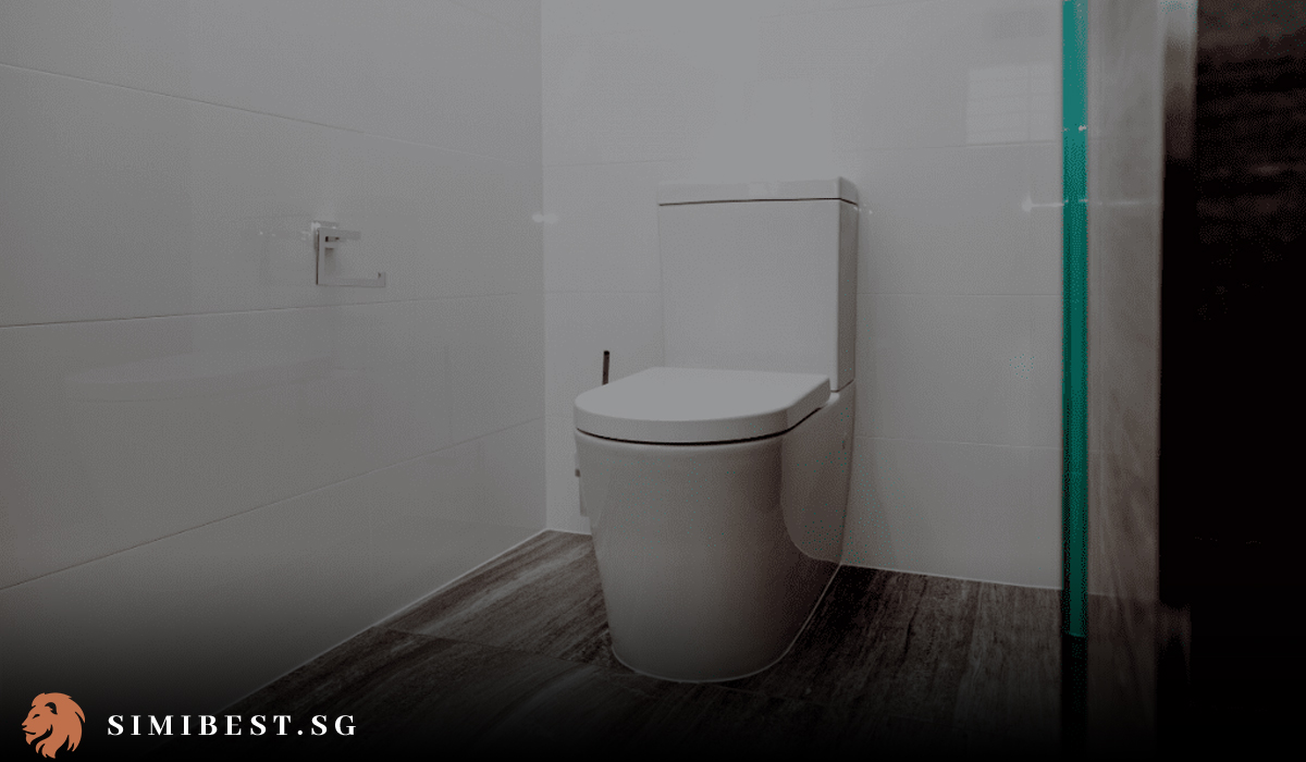 Singapore's 10 Best Toilet Bowl in 2024 SimiBest