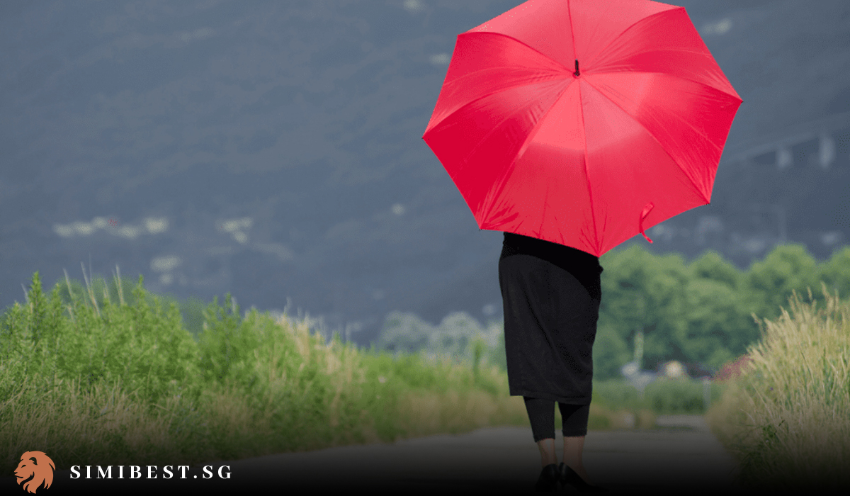 Singapore's 8 best umbrellas for 2024 Simibest
