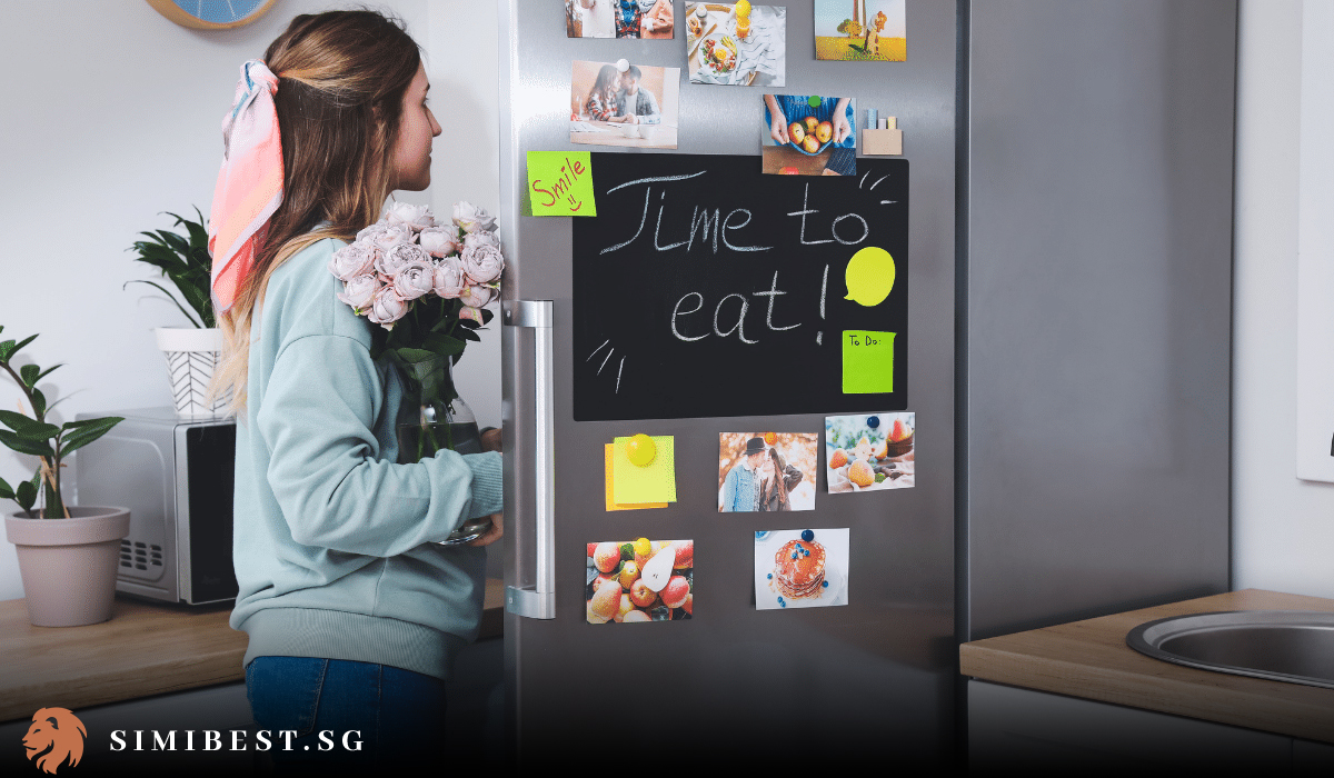 The 8 Best Fridge Singapore in 2024 Simibest