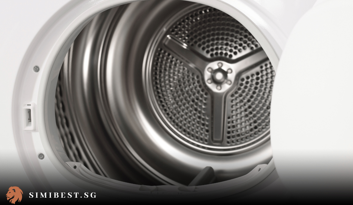 10 Best Dryer Singapore in 2024 Simibest
