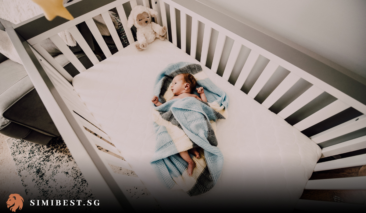 7 Best CoSleepers In Singapore For Babies And Parents