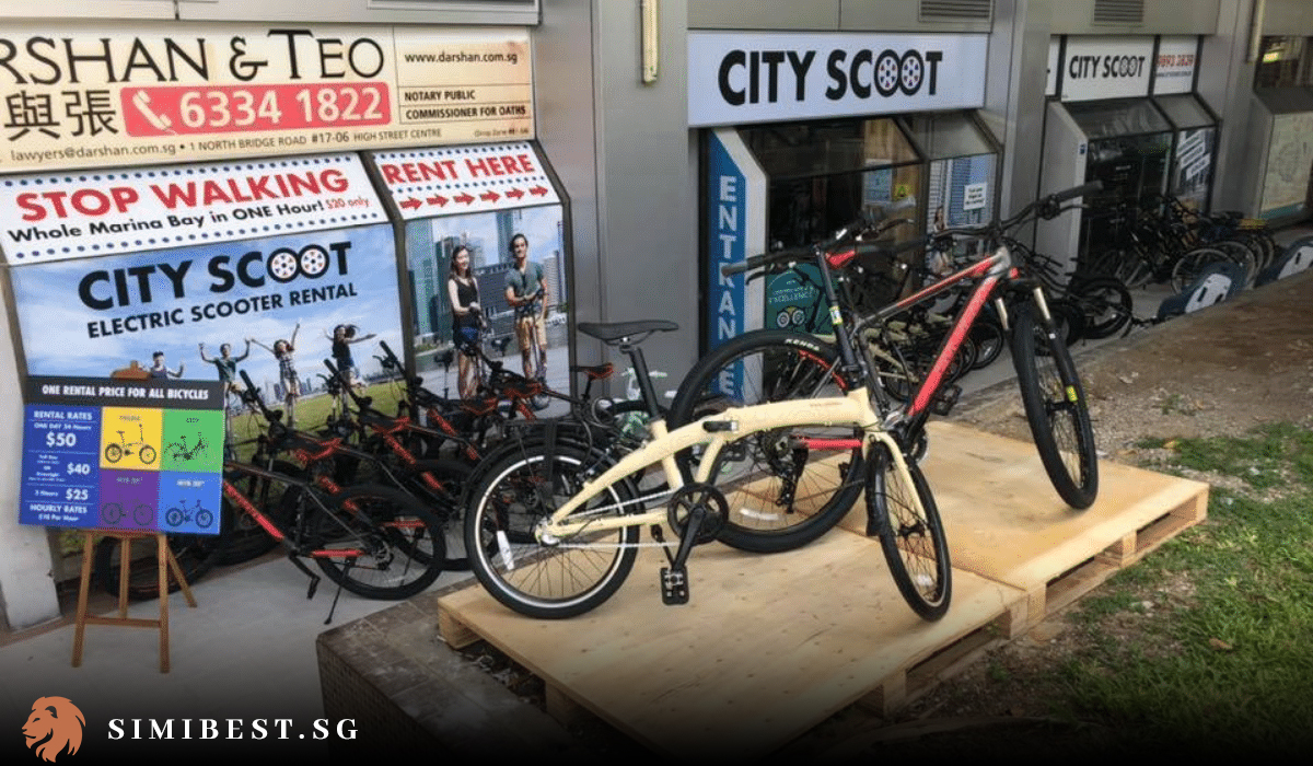 The 7 Best Bike Rental Singapore in 2024 Simibest