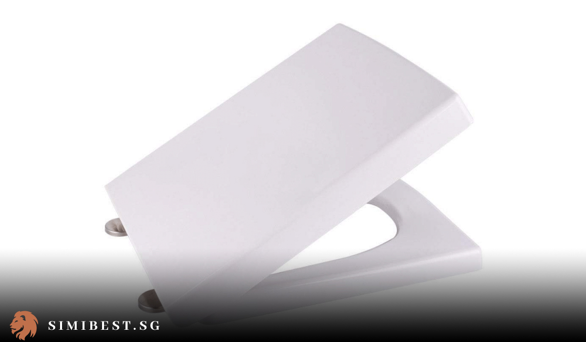 10 Best Toilet Seat Covers in Singapore 2024