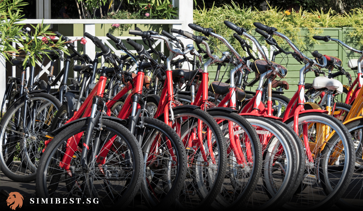 The 7 Best Bike Rental Singapore in 2024 Simibest
