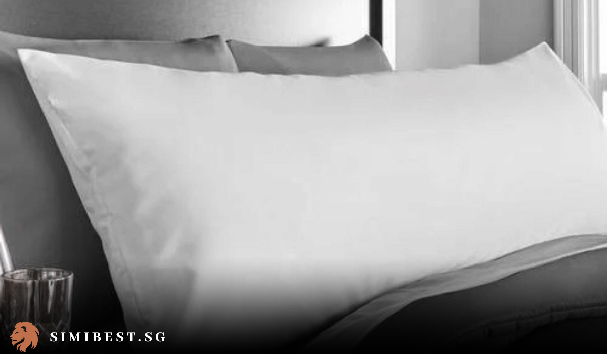 Here are the 8 best body pillows in Singapore 2024