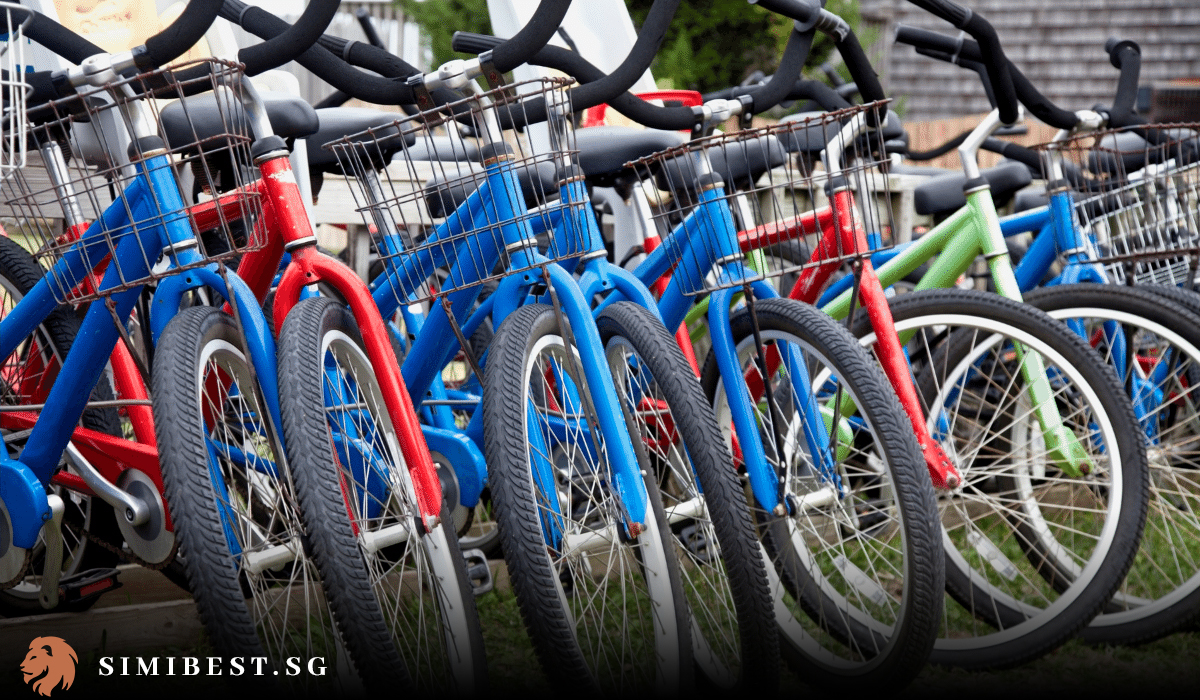 The 7 Best Bike Rental Singapore in 2024 Simibest